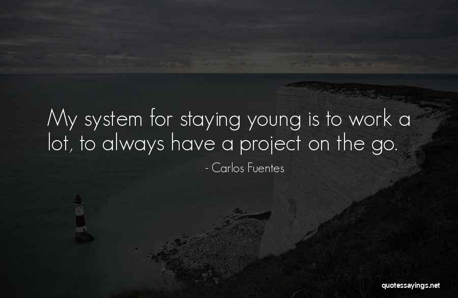 Overol Desechable Quotes By Carlos Fuentes Overol Desechable Quotes By Carlos Fuentes