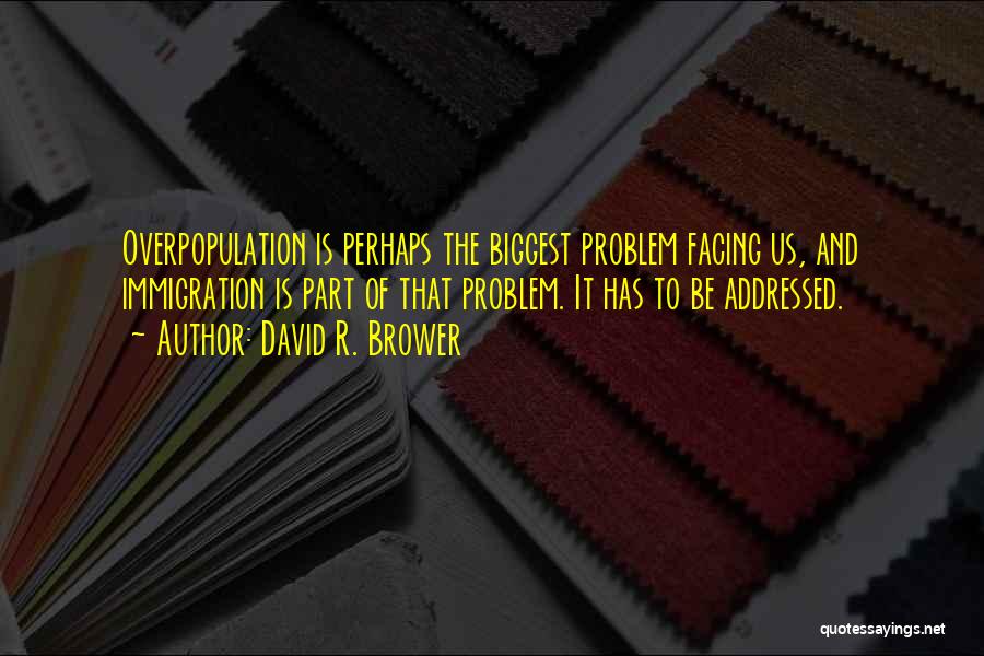 Overpopulation Problem Quotes By David R. Brower