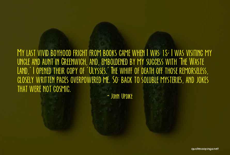 Overpowered Quotes By John Updike Overpowered Quotes By John Updike