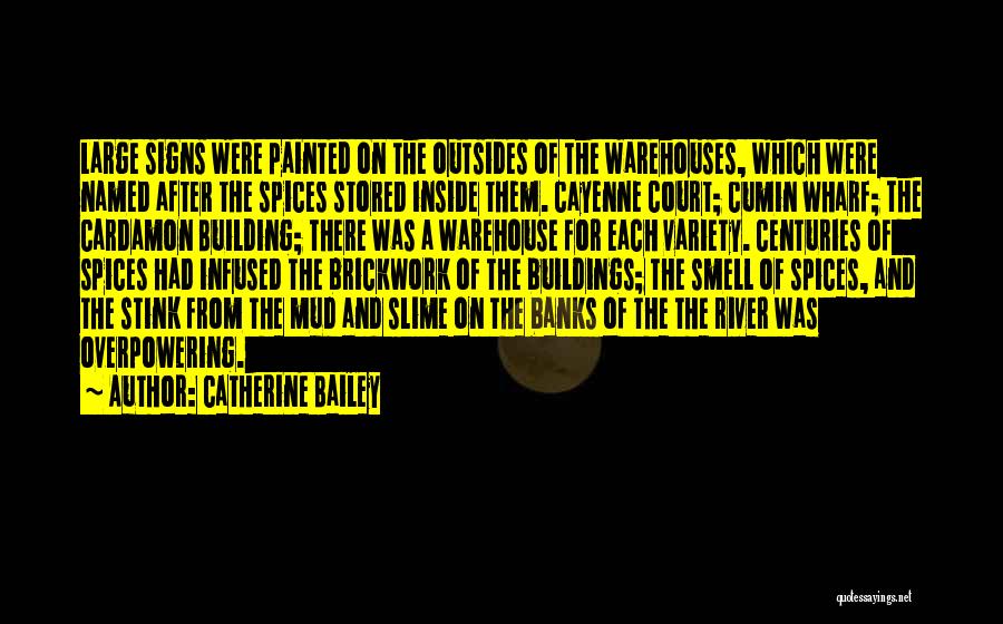 Overpowering Quotes By Catherine Bailey