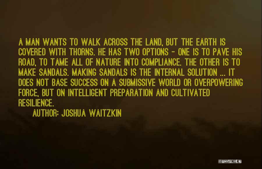 Overpowering Quotes By Joshua Waitzkin