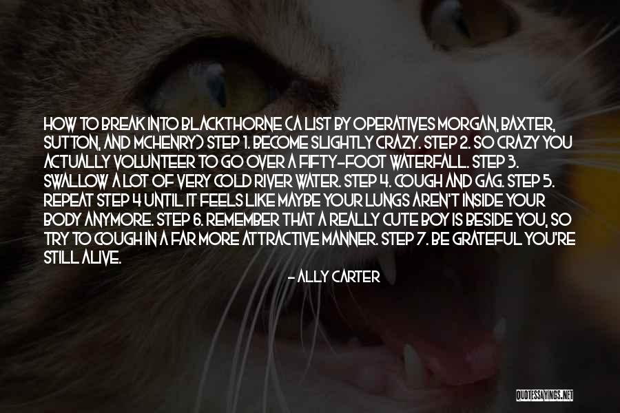 Overpraised Quotes By Ally Carter Overpraised Quotes By Ally Carter