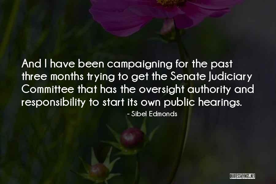 Oversight Quotes By Sibel Edmonds Oversight Quotes By Sibel Edmonds