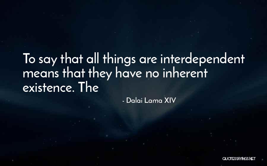 Overview Effect Astronauts Quotes By Dalai Lama XIV Overview Effect Astronauts Quotes By Dalai Lama XIV