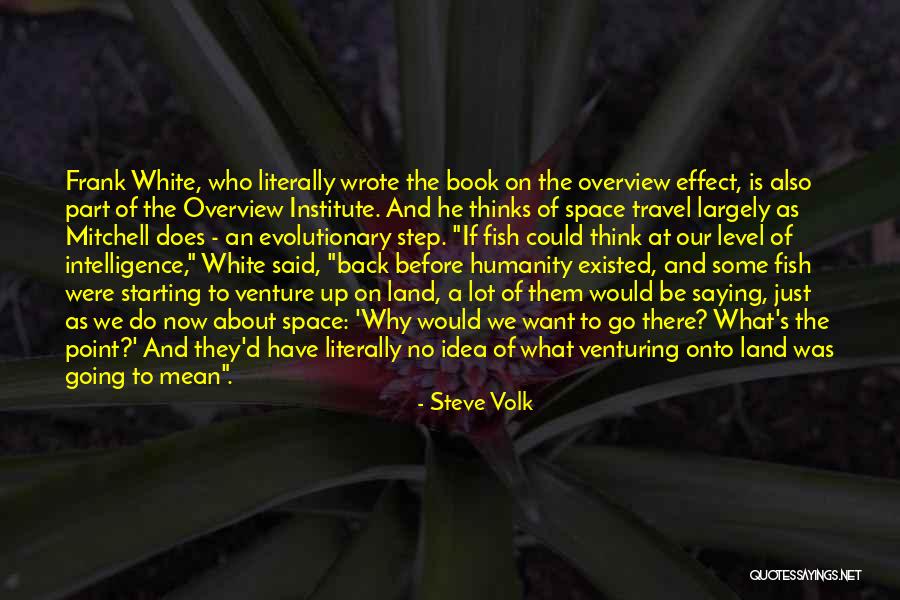 Overview Effect Quotes By Steve Volk Overview Effect Quotes By Steve Volk