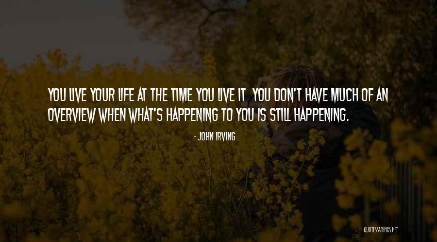 Overview Quotes By John Irving Overview Quotes By John Irving