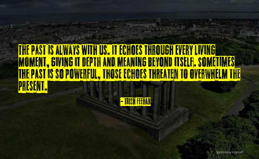 Overwhelm Is Quotes By Trish Feehan Overwhelm Is Quotes By Trish Feehan