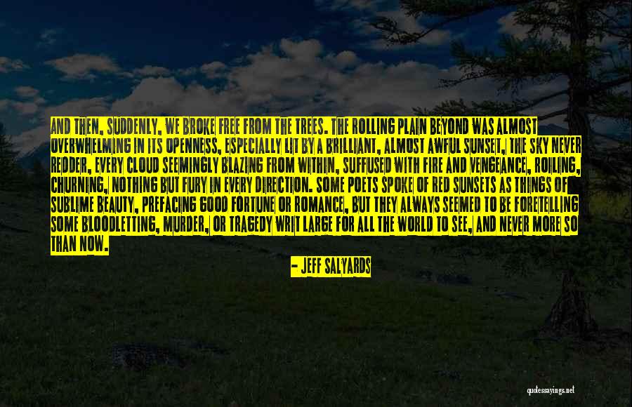 Overwhelming Beauty Quotes By Jeff Salyards