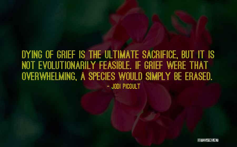 Overwhelming Grief Quotes By Jodi Picoult Overwhelming Grief Quotes By Jodi Picoult