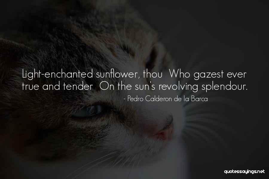 Overwinding Quotes By Pedro Calderon De La Barca Overwinding Quotes By Pedro Calderon De La Barca