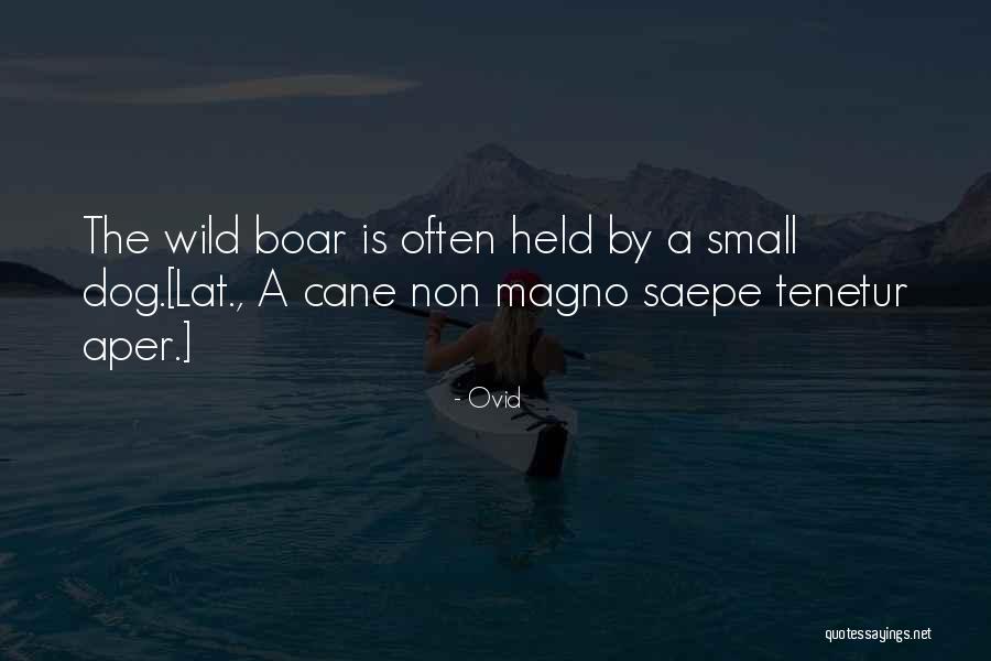 Ovid Quotes 976966