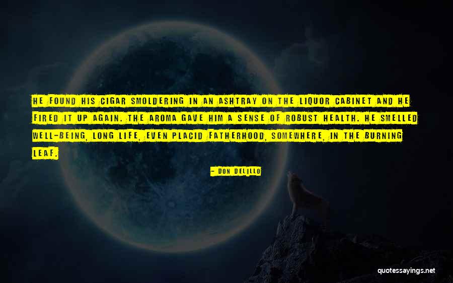 Ovny En Quotes By Don DeLillo Ovny En Quotes By Don DeLillo