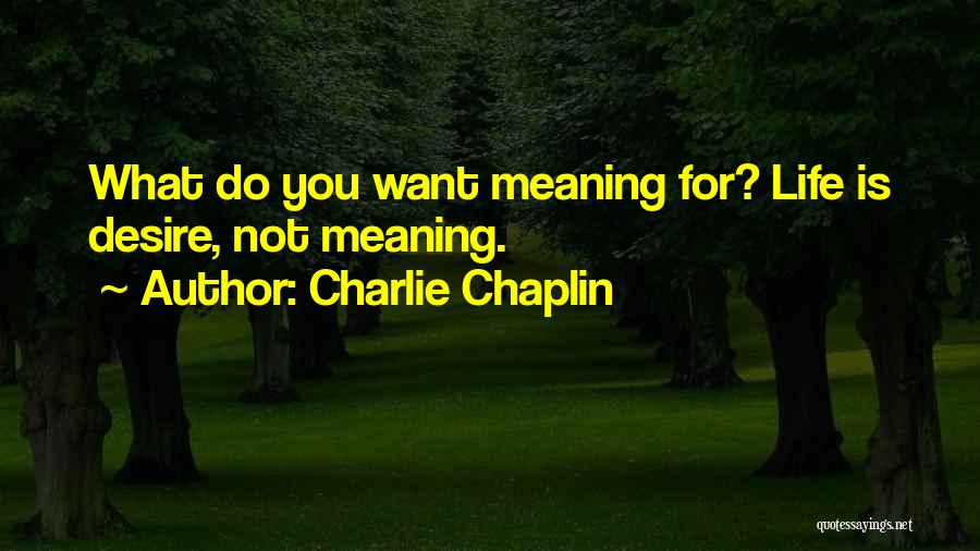 Ovoid Shape Quotes By Charlie Chaplin