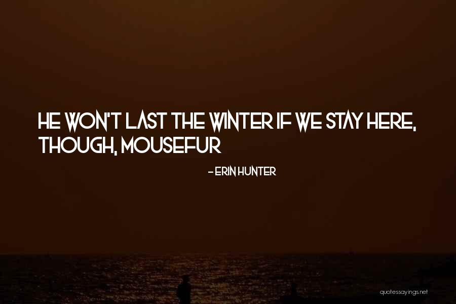 Ovomex Quotes By Erin Hunter Ovomex Quotes By Erin Hunter