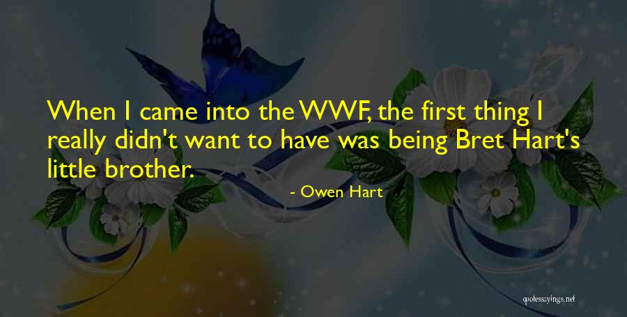 Owen Hart Quotes 1641760 Owen Hart Quotes 1641760