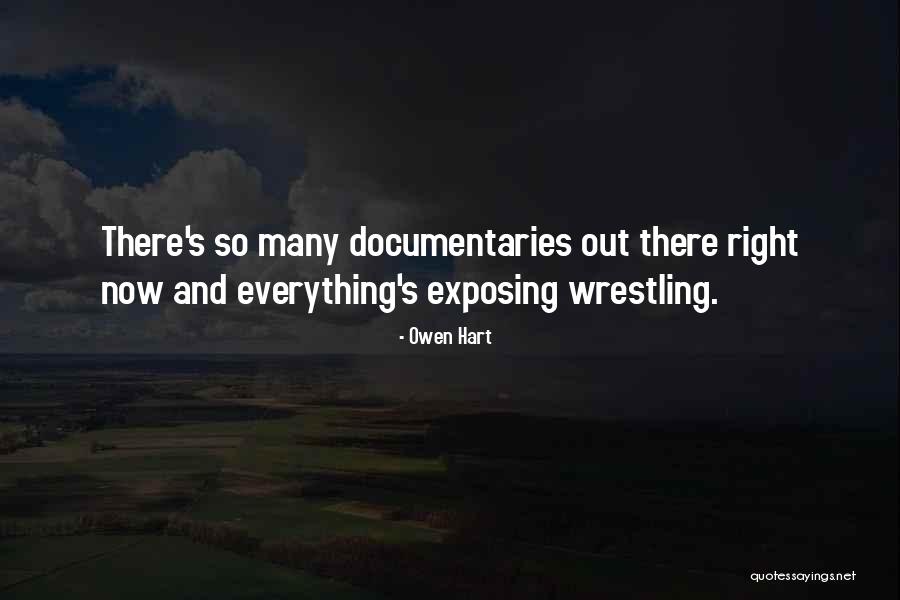 Owen Hart Quotes 262073