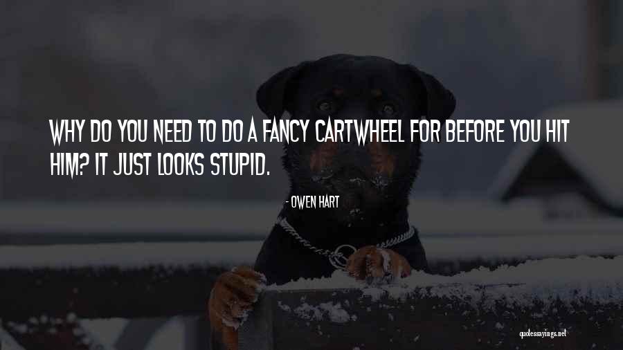 Owen Hart Quotes 865311 Owen Hart Quotes 865311