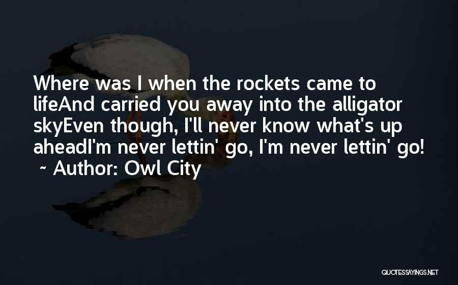 Owl City Life Quotes By Owl City