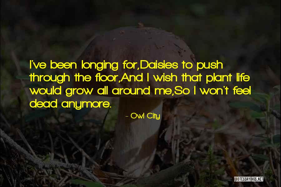 Owl City Life Quotes By Owl City