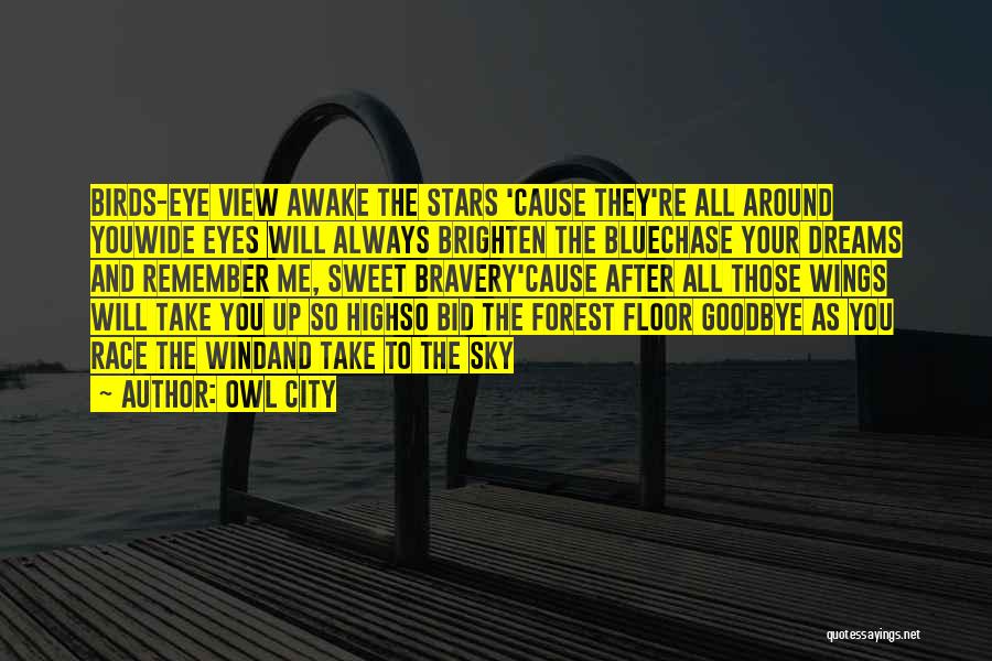 Owl City Quotes 1282774