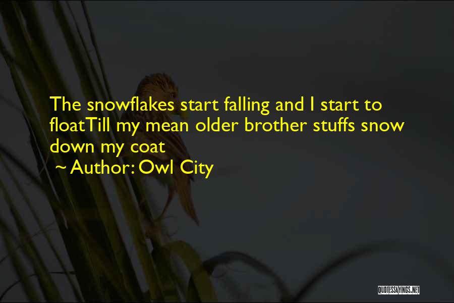 Owl City Quotes 2189734