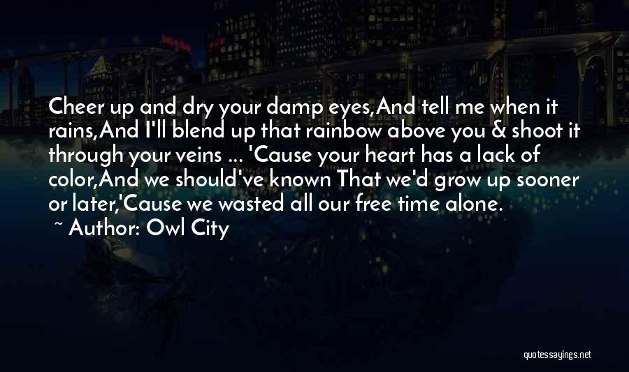Owl City Quotes 409615