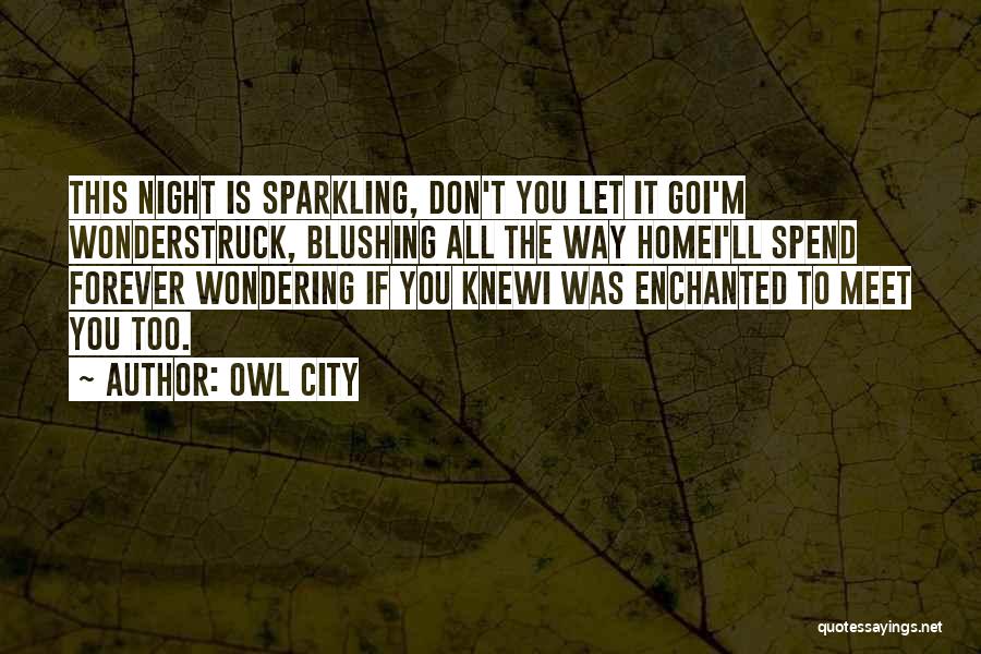 Owl City Quotes 891803