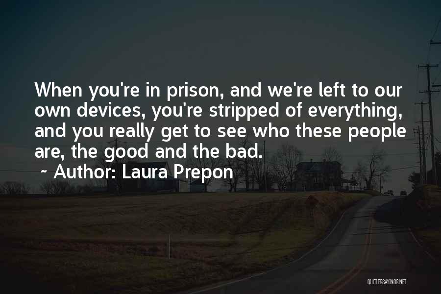 Owl Classroom Quotes By Laura Prepon