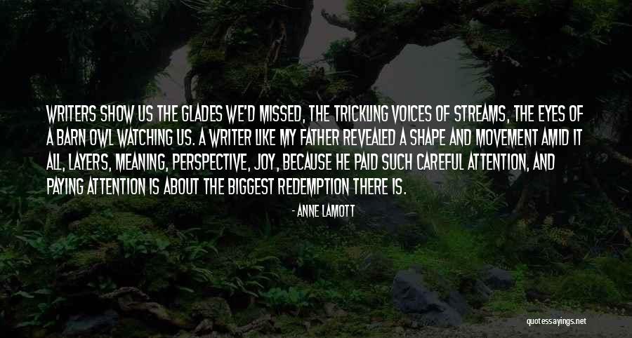 Owl Eyes Quotes By Anne Lamott