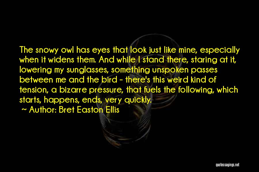 Owl Eyes Quotes By Bret Easton Ellis