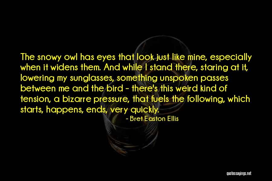 Owl Eyes Quotes By Bret Easton Ellis