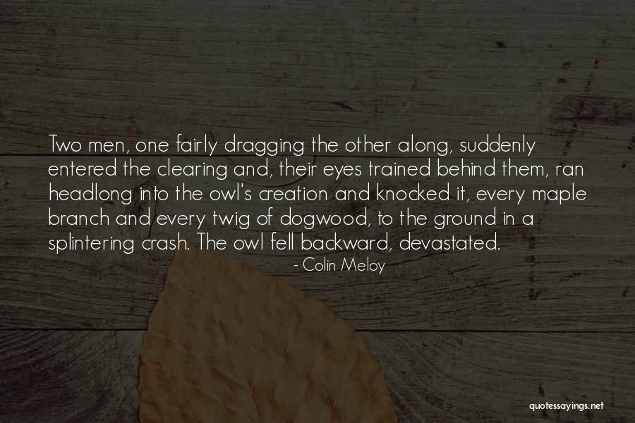 Owl Eyes Quotes By Colin Meloy