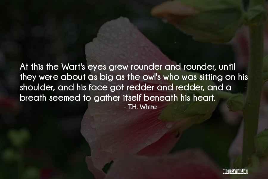 Owl Eyes Quotes By T.H. White