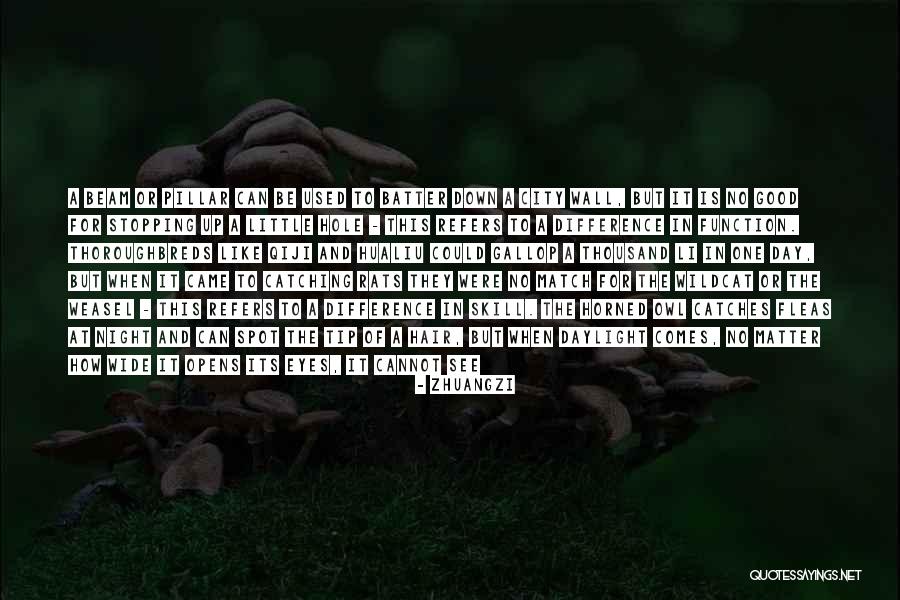Owl Eyes Quotes By Zhuangzi Owl Eyes Quotes By Zhuangzi