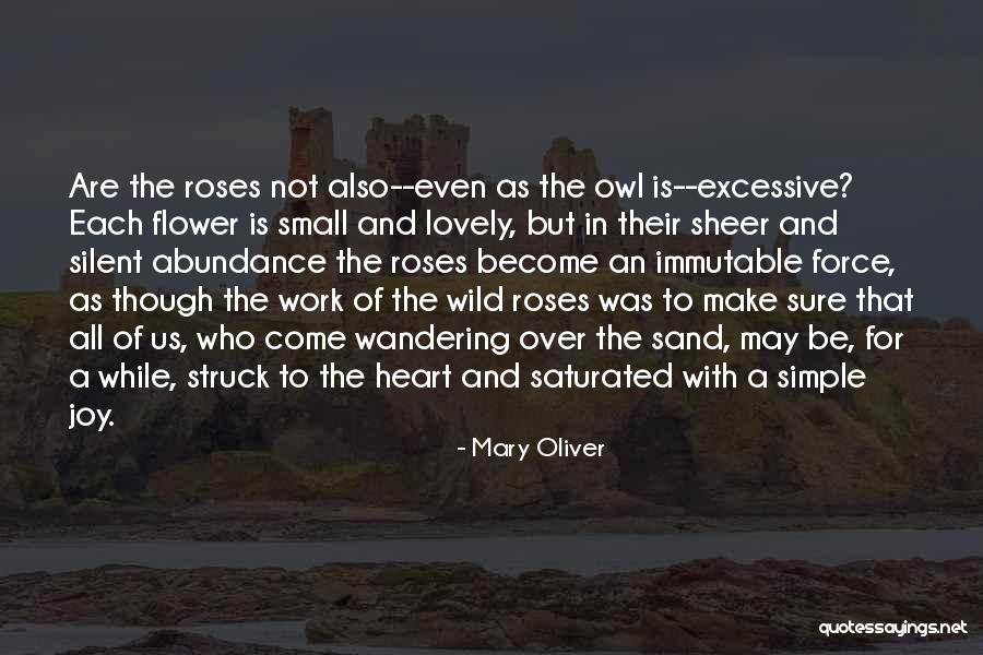 Owl Small Quotes By Mary Oliver Owl Small Quotes By Mary Oliver