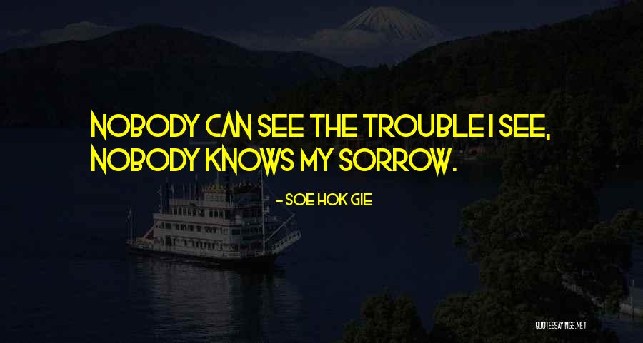 Owles With No Feathers Quotes By Soe Hok Gie
