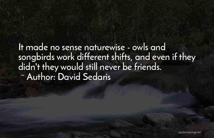 Owls And Friends Quotes By David Sedaris