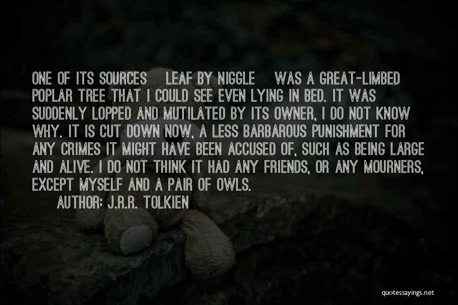 Owls And Friends Quotes By J.R.R. Tolkien