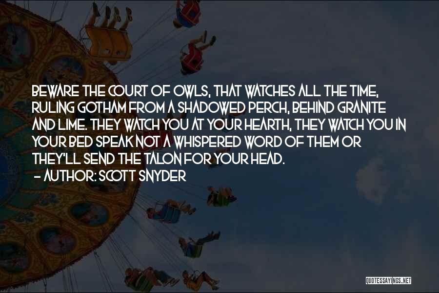 Owls And Time Quotes By Scott Snyder