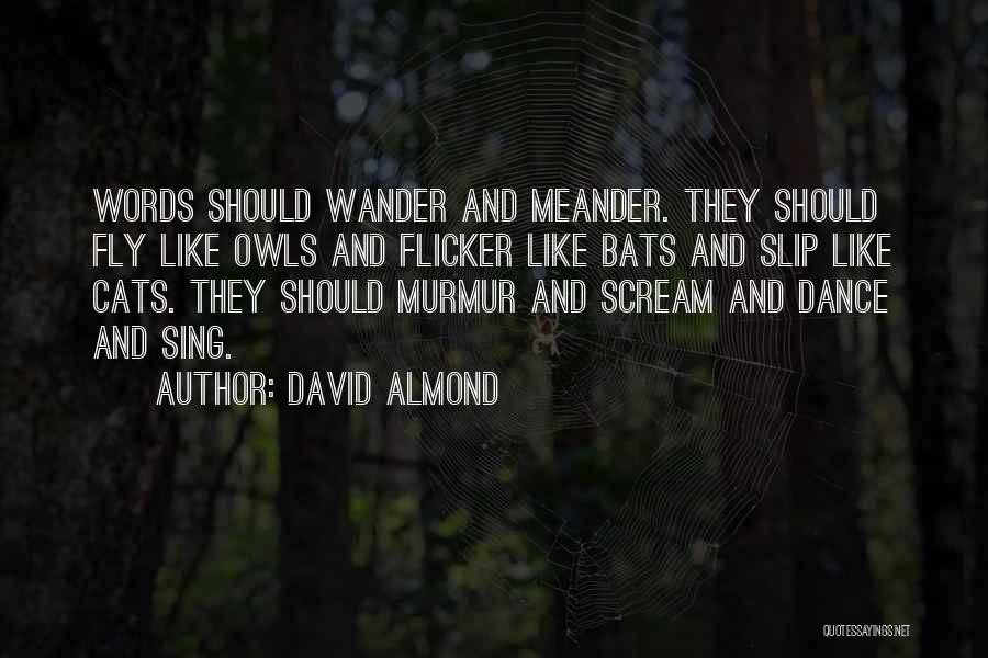 Owls Quotes By David Almond