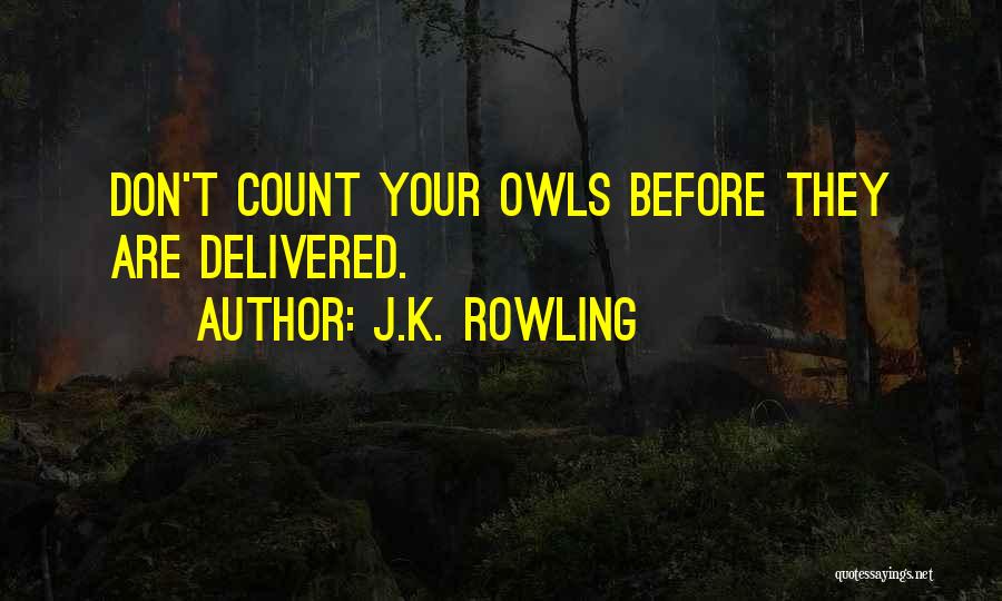 Owls Quotes By J.K. Rowling