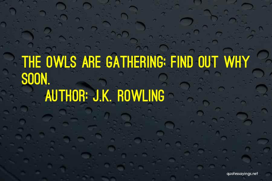 Owls Quotes By J.K. Rowling