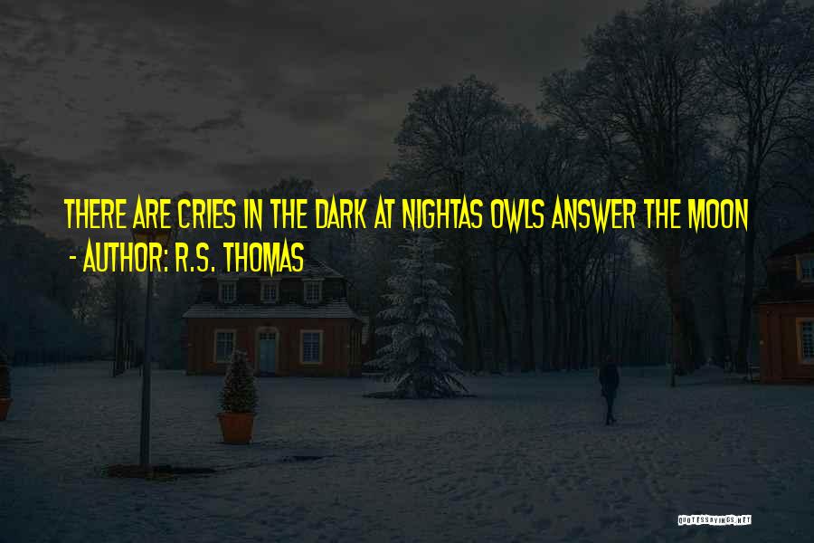 Owls Quotes By R.S. Thomas