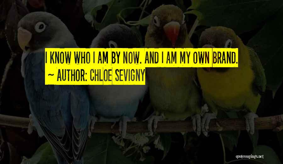 Own Brand Quotes By Chloe Sevigny