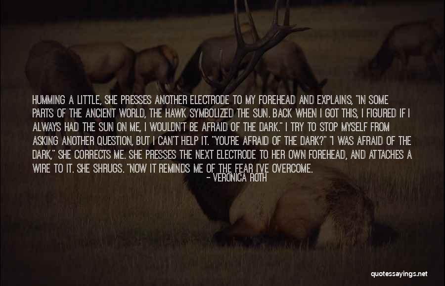 Own Little World Quotes By Veronica Roth Own Little World Quotes By Veronica Roth