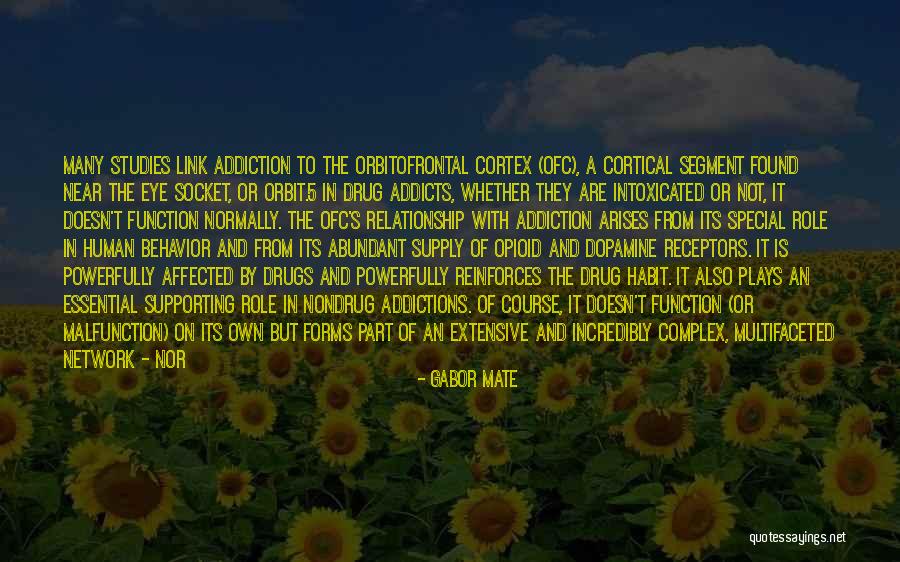 Own Network Quotes By Gabor Mate Own Network Quotes By Gabor Mate