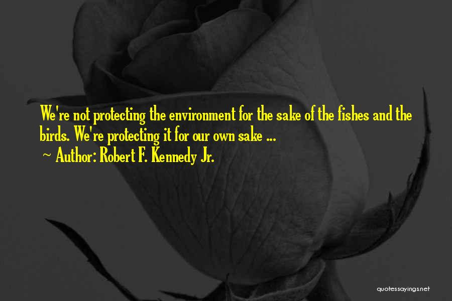 Own Sake Quotes By Robert F. Kennedy Jr.