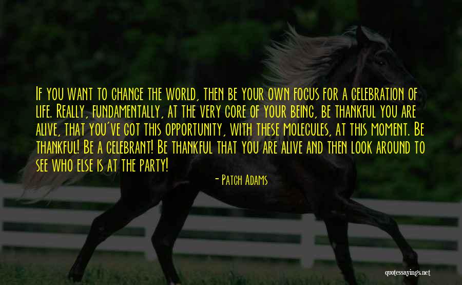 Own The Moment Own Your Life Quotes By Patch Adams Own The Moment Own Your Life Quotes By Patch Adams