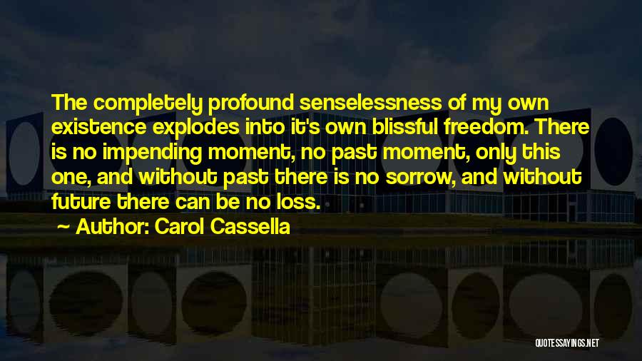 Own The Moment Quotes By Carol Cassella