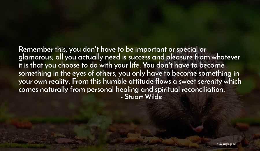 Own Your Attitude Quotes By Stuart Wilde Own Your Attitude Quotes By Stuart Wilde